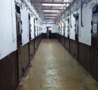 החייל איים להתאבד, מפקד הכלא הציע להביא לו חבל