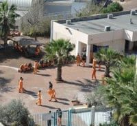 התחייבות המדינה לבג"צ לא מתיישבת עם המדיניות בוועדות השחרורים