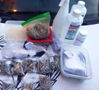 גינה לי חביבה ופסיכודלית