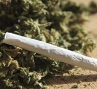 מדברים מהשטח