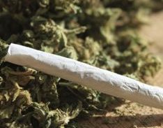 כתב אישום: בני זוג הפעילו רשת להפצת קנאביס בת"א