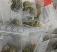 התא של המורה ירוק יותר