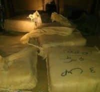 המסתערבים של מג"ב דרום תפסו "על חם" הברחת 100 ק"ג חשיש