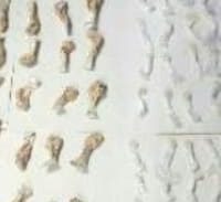 אם החקירה הסתיימה, אז למה המשטרה מחכה?