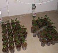 מעלות על המפה: תשעה ק"ג במעבדת הידרו