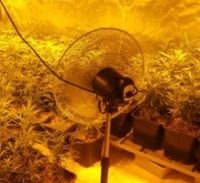 כשעורך דין וחוקר פרטי נפגשו במעבדת הידרו