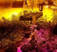 חשד: תושב חיפה הקים מעבדת הידרו בדירה שכורה בנשר