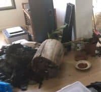 הפאשלה של הערכה המשטרתית הניידת לזיהוי סמים