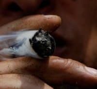 מריחואנה נגד טראומה