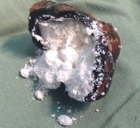 הבלדר מת מהרעלת קוקאין, שולחיו הורשעו בייבוא סמים