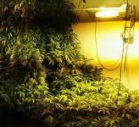 בימ"ש: חולשה בראיות נגד נאשמים בהפעלת מעבדות הידרו בראשל"צ