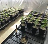 הצהרת תובע: 46 קילו מריחואנה, 157 פלטות חשיש, ואקדחים