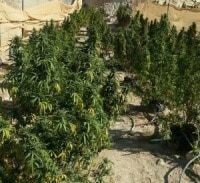 מי מגדל גראס בנחל צין