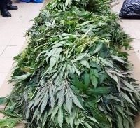 הגנבים וקורבנות העבירה בכתב אישום אחד