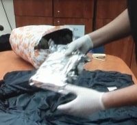 הסדר טיעון לצעירים שייבאו קוקאין מהולנד