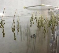 ר"ג: אנשי מחשבים חשודים בהפעלת מעבדת סמים