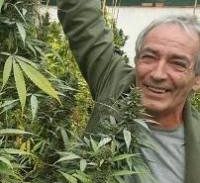 מייסד עלה ירוק נעצר בחשד ליבוא כמות מזערית של חומר החשוד כקנאביס