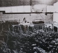 מעבדה לשימוש עצמי?