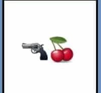 340 רישיונות לנשיאת כלי נשק הוענקו לבוגרי דובדבן