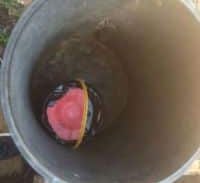 הקואליציה הסודית