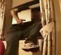 החתולים המטפסים מחדרה הגיעו עד רמת גן