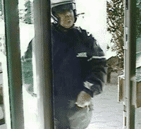 די-אן-איי של שודדים?