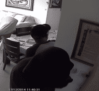 הפורצים התחזו לעובדי עירייה