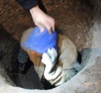 11 חשודים בשוד עתיקות גדול בגליל התחתון