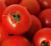 כתב אישום נגד כנופיית פורצים למשקים בנגב המערבי