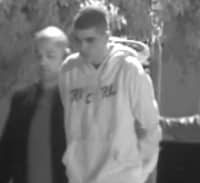 הקרביץ מארגון דומרני נעצר שוב