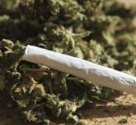 ראש העין: בני זוג נאשמים בסחר במריחואנה