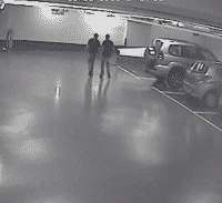 ראיות יפואיות