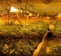 נשואים פלוס ארבעה ילדים ומעבדת הידרו אחת