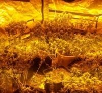 חשד: חיילים הקימו מעבדת הידרו בבת ים