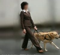 מעז יצא מתוק – תאונת דרכים עם דרמה אנושית