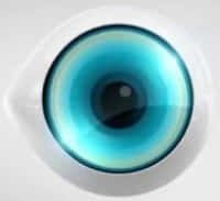 האח הגדול רואה הכל