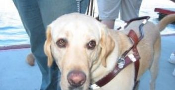 נהג מונית יפצה עיוורת ב-10,000 שקל