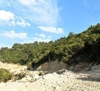 שתי אצבעות מצידון – שחרור מוקדם לאסיר שייבא חשיש והרואין מלבנון