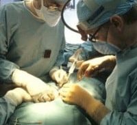 כתב האישום נגד מתאם השתלות האיברים נמחק כמעט לחלוטין