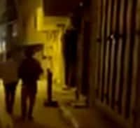 נורמליזציה ומריחואנה