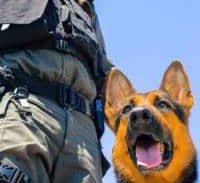 מעבדת הידרו נחשפה בזכות חוש ריח של הבלשים