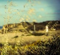 המסלול הסלולרי של מאהר אלעיסאווי