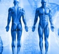 הרומן האסור בין הפרקליטות לבין המכון הלאומי לרפואה משפטית