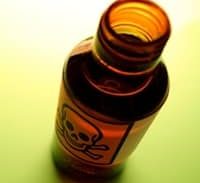 משולש רומנטי ופלילי בקלנסאווה