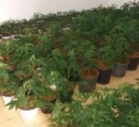 השטח האפור של מגדל המריחואנה מהפנטהאוז בנהריה