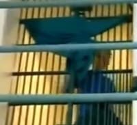 הצנזורה של שירות בתי הסוהר מגיעה גם לאקדמיה