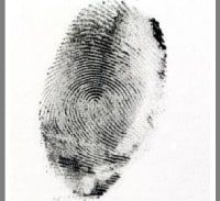 סערה בטביעת אצבע