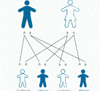 היורשים החדשים