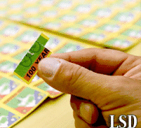 ניסה לספק בולי LSD לשוטרת סמויה במסיבת טבע