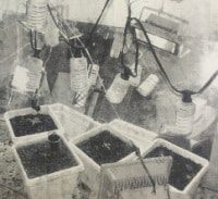 בין טרגדיות אישיות לגידול קנאביס